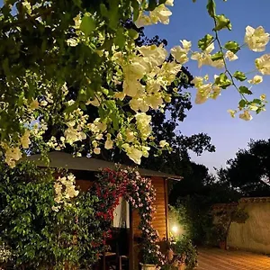 Bed & Breakfast Il Girasole 